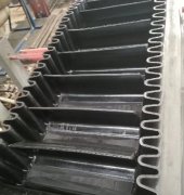 國內麻豆影视在线廠家發展及輸送帶行業增長