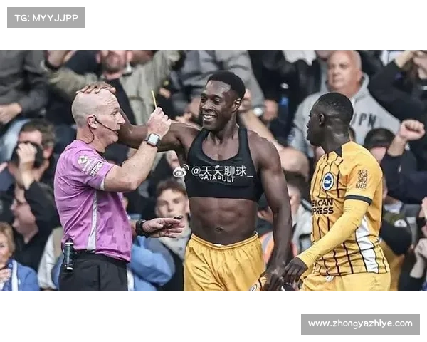 为什么维尔贝克被称为黑贝深度分析其背后的含义与原因